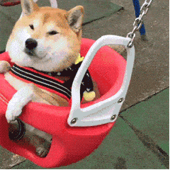 转存图片