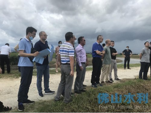 市水利局组织召开高明区崇步二站重建工程初步设计技术审查会692.jpg