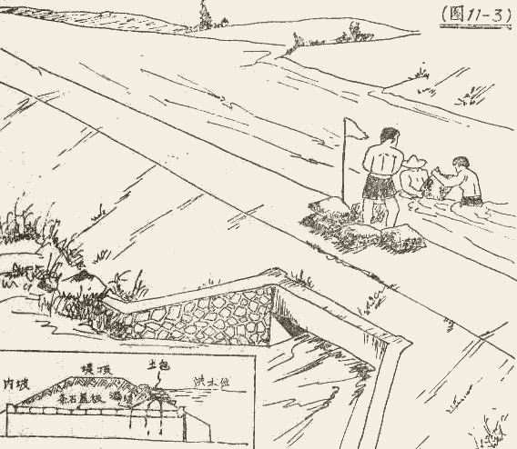 df11_3.gif (32020 bytes)