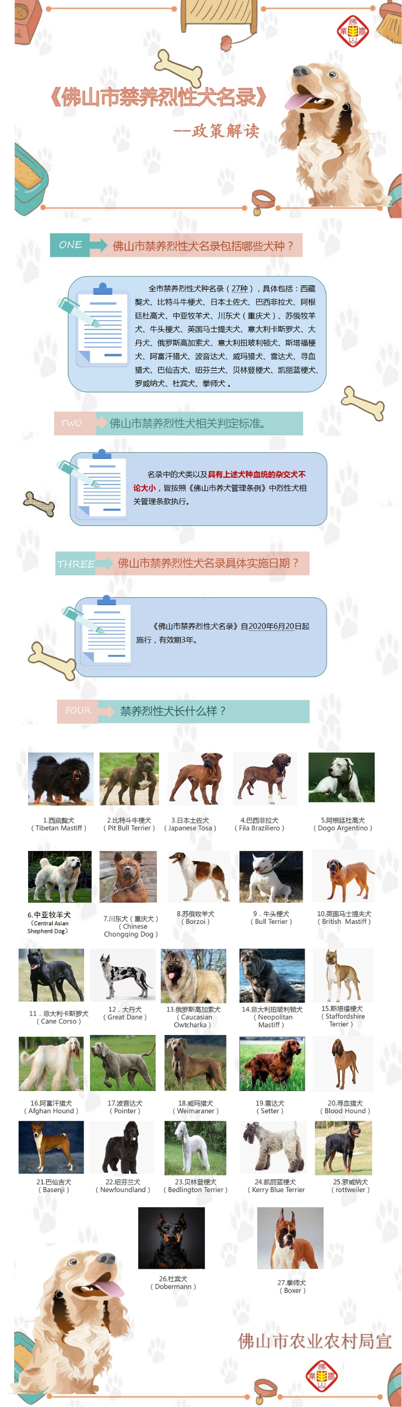 政策解读.jpg