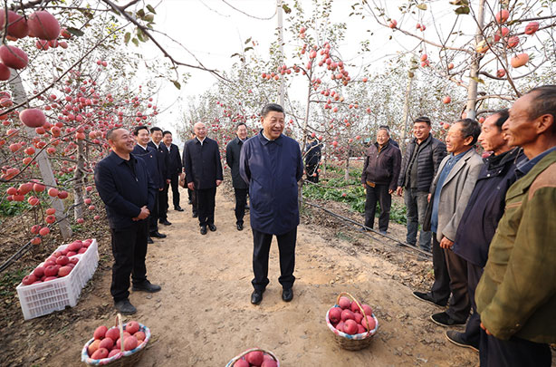 习近平在陕西延安和河南安阳考察