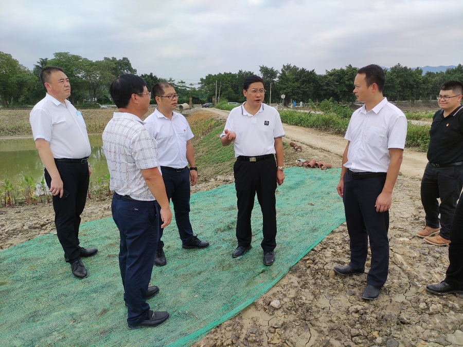 调研组调研大埗塘涌治理项目.jpg