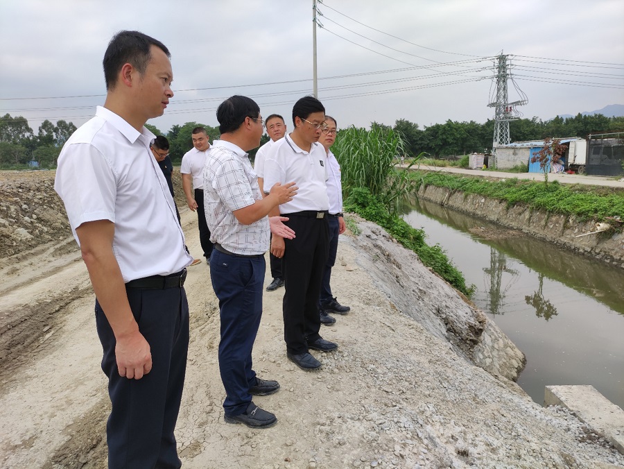 调研组详细了解项目治理成效.jpg