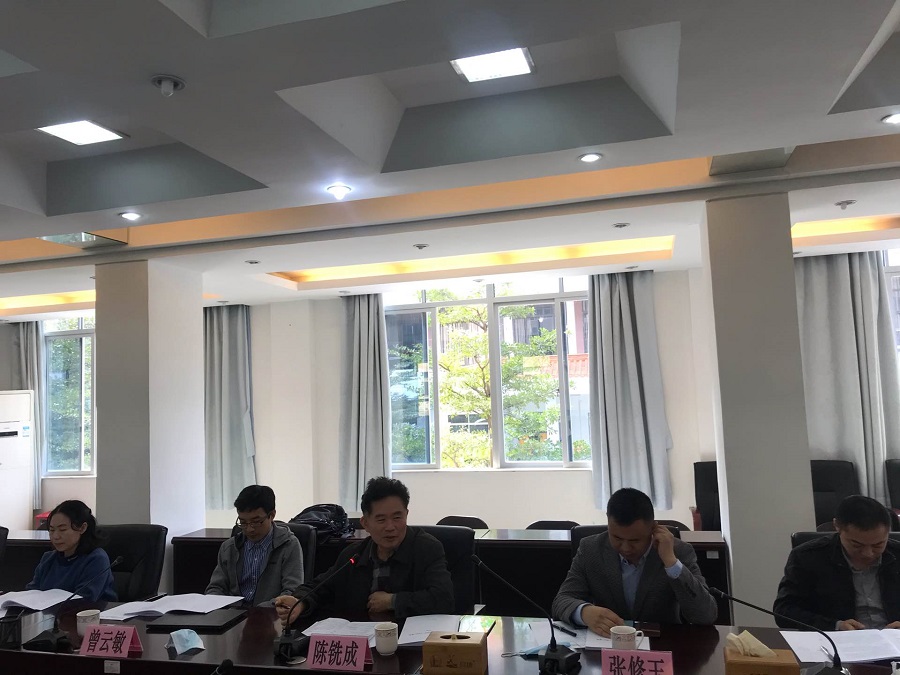 专家组发言.jpg