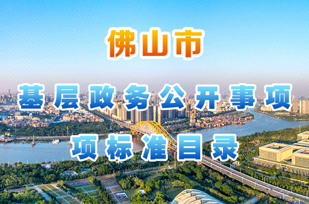基层政务公开事项标准目录